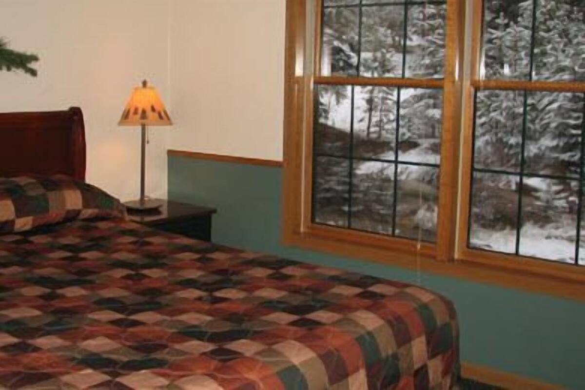 A bedroom with a checkered bedspread, a bedside lamp, and a window with a view of snow-covered trees.
