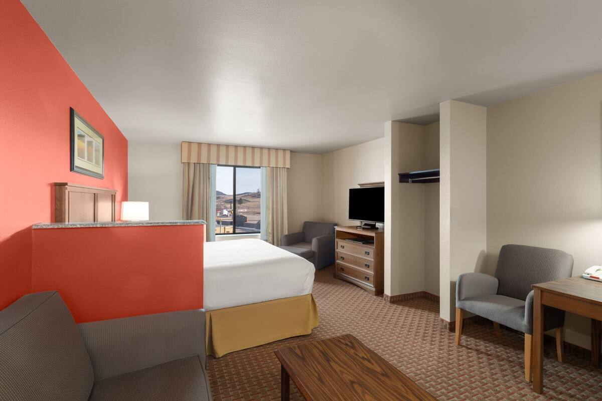 Een hotelkamer met een bed, een bureau, een televisie, een stoel en uitzicht op het landschap.