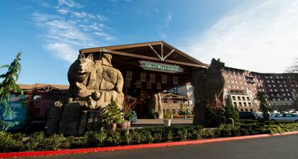 Great Wolf Lodge Grand Mound