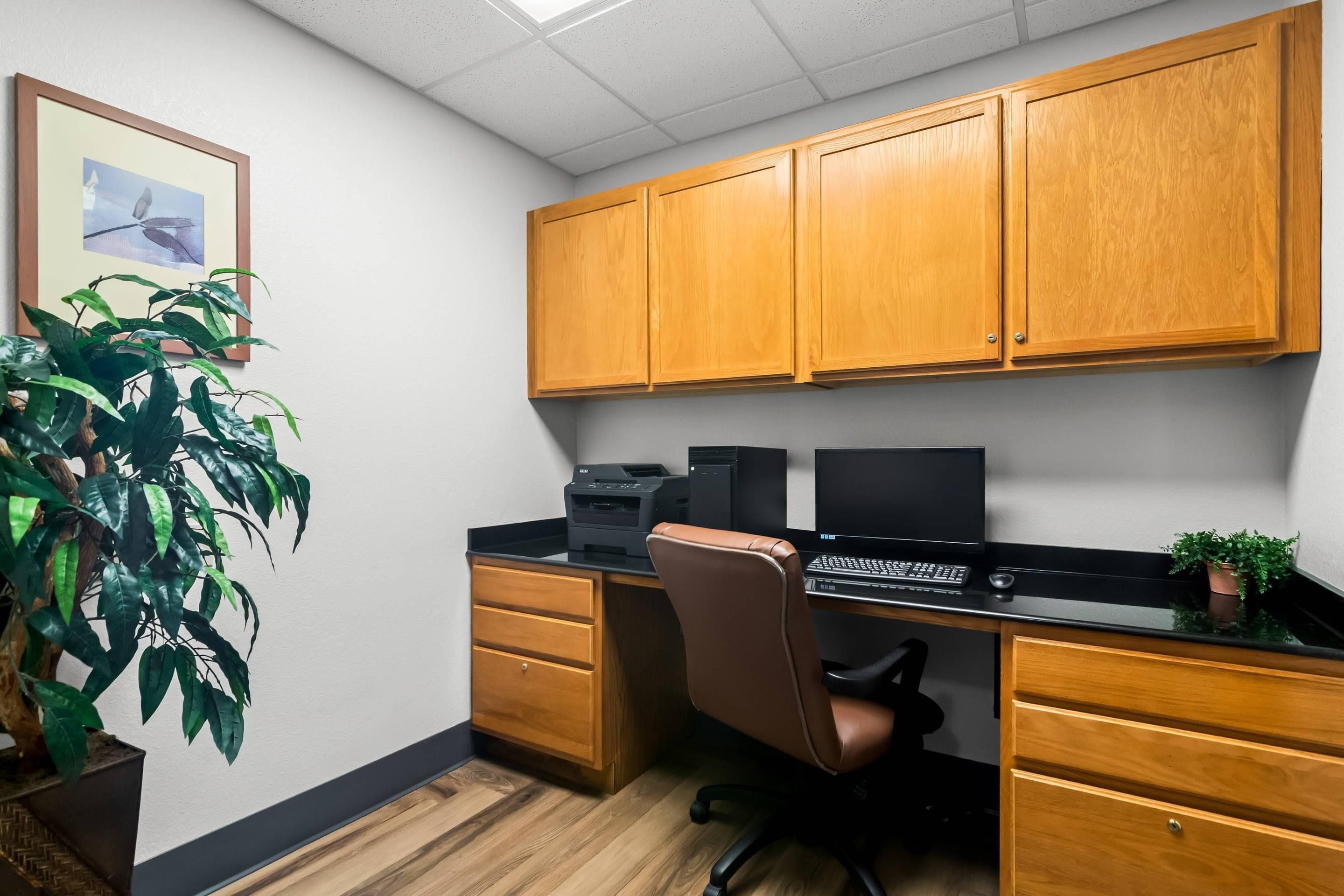 A small office space with wooden cabinets, a desk, a chair, a printer, and a computer. There is a framed picture on the wall and a potted plant on the desk.