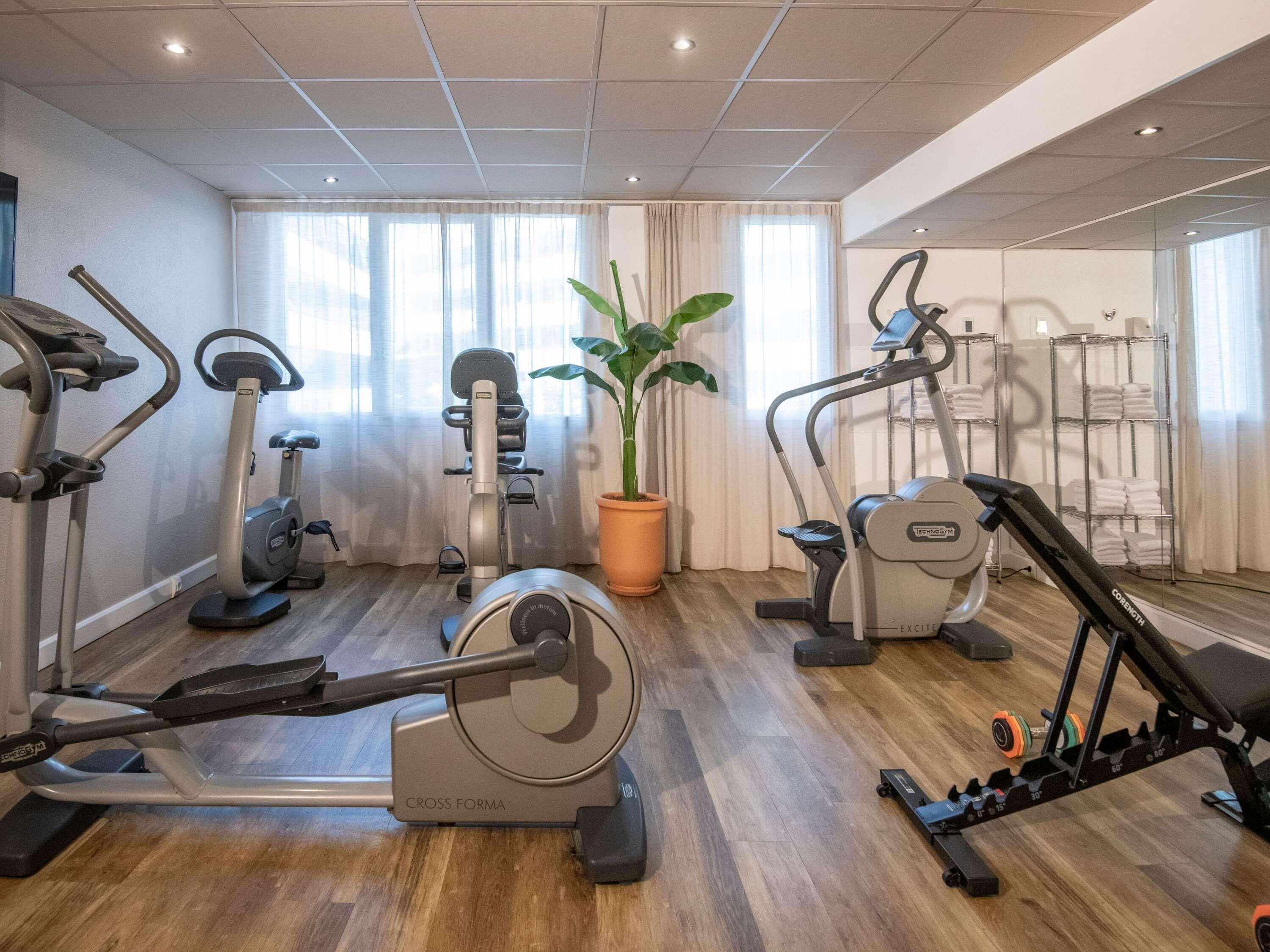 Une salle de sport équipée de machines de cardio, d’un banc de musculation et d’une plante en pot.
