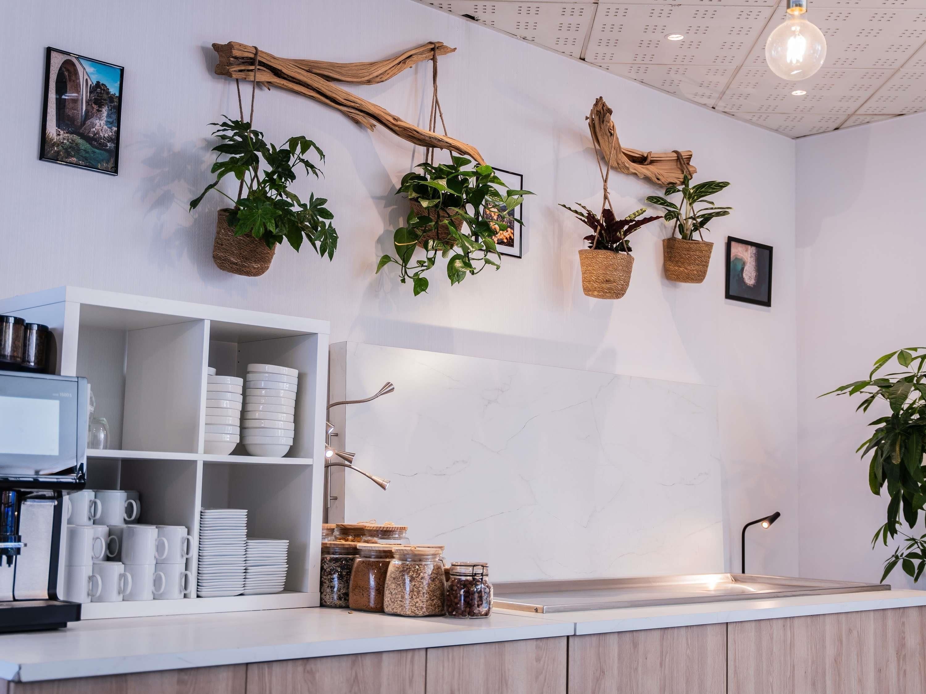 A modern kitchen with white cabinets, a coffee machine, and hanging plants.