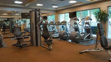 A gym with various exercise equipment, large windows, and a plant.