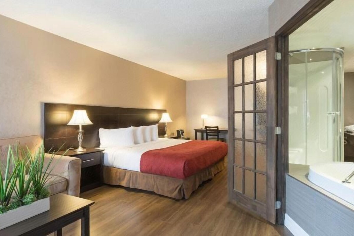 Habitación de hotel con cama, mesitas de noche, un escritorio, una planta en maceta, zona de ducha y un espejo grande.