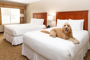 Standard Room, 2 Queen Beds (Terrace Building) | Iron/ironing board, free WiFi, bed sheets