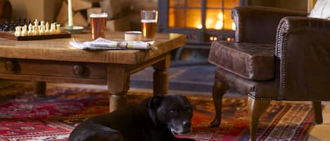 Mesra haiwan kesayangan