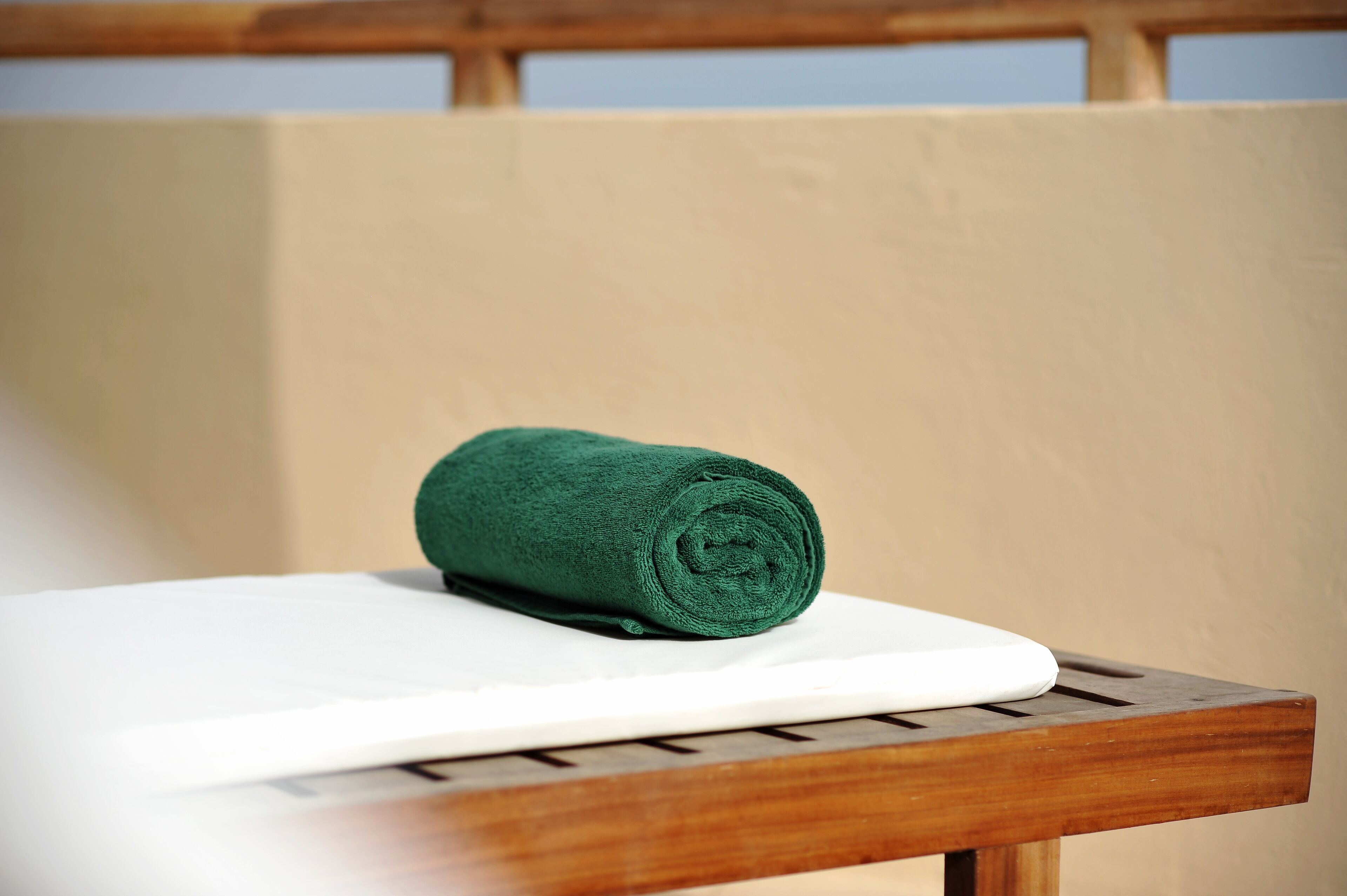 executive suite | terrace/patio