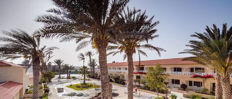 A courtyard with palm trees, outdoor seating, and a pool.