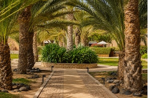Jardín