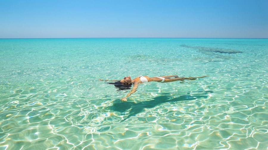 Hotel Riu Palace La Mola