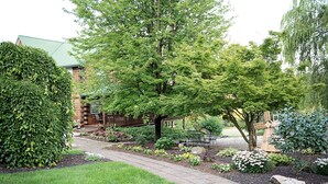 A garden with a paved walkway, a wooden fence, and a variety of plants and flowers.