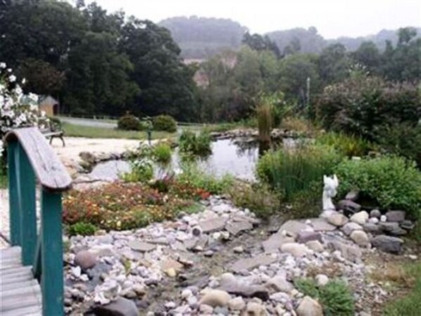 A garden with a pond, rocks, and a wooden bridge.