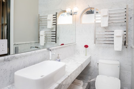 Rainfall showerhead, eco-friendly toiletries, hair dryer. The Monte Cristo