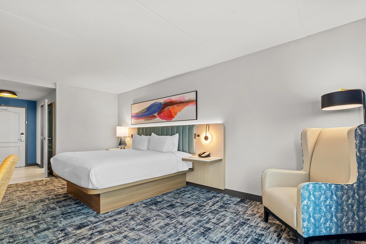 Room, 1 King Bed