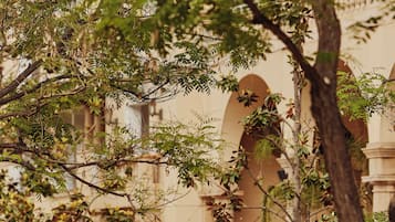 Jardin