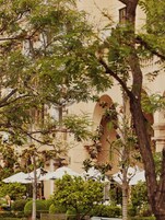Jardín