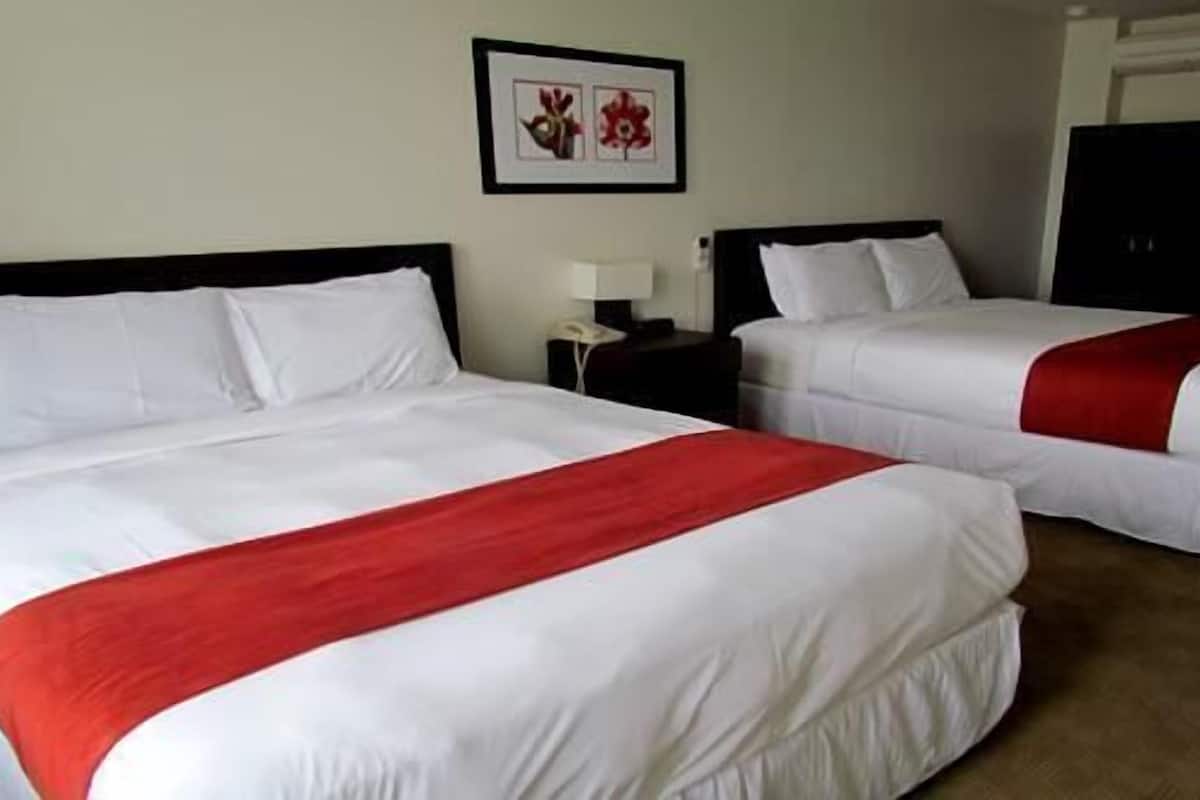 A hotel room with two beds, each with white linens and a red accent. There is a framed picture on the wall above the beds.