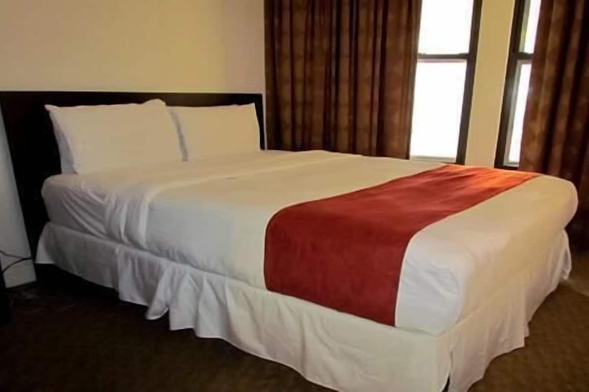 Standard Room, 1 Queen Bed | Hypo-allergenic bedding, pillow-top beds, desk, blackout curtains