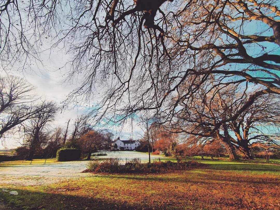 Un parque con árboles desnudos, un campo cubierto de césped y un edificio blanco a lo lejos.