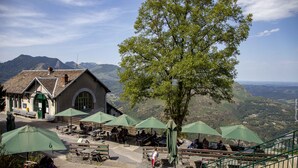A mountain-view restaurant with outdoor seating and a large tree in the foreground.