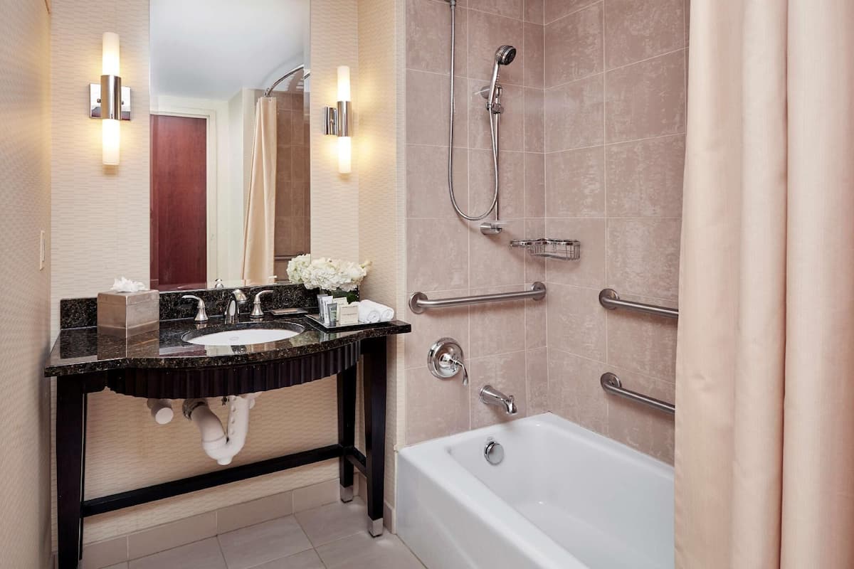 BaƱo | Tina con regadera, amenidades de baƱo de diseƱador, secadora de cabello