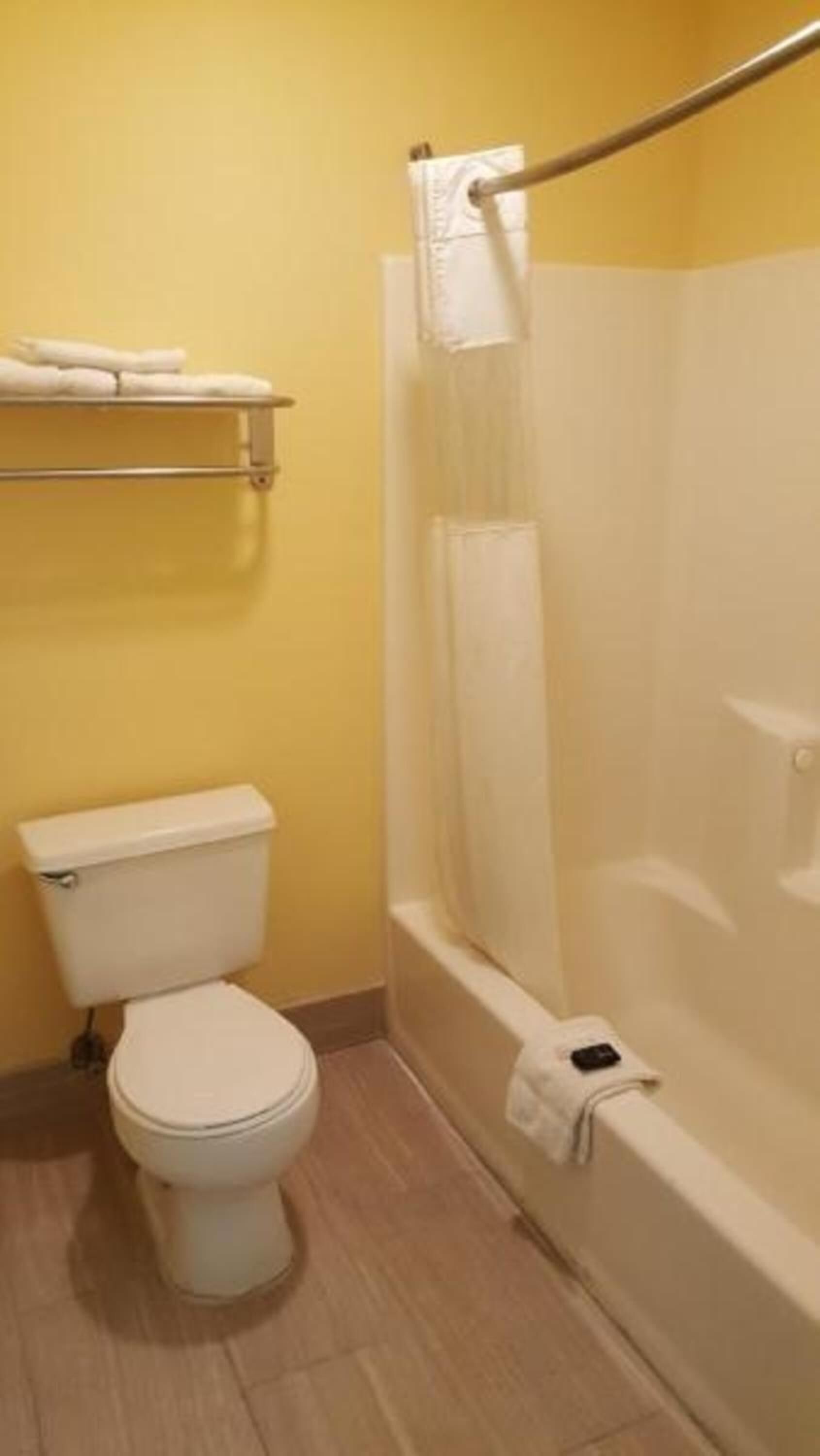 A bathroom with a toilet, a bathtub, and a shower curtain.