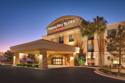 Springhill Suites by Marriott Thatcher