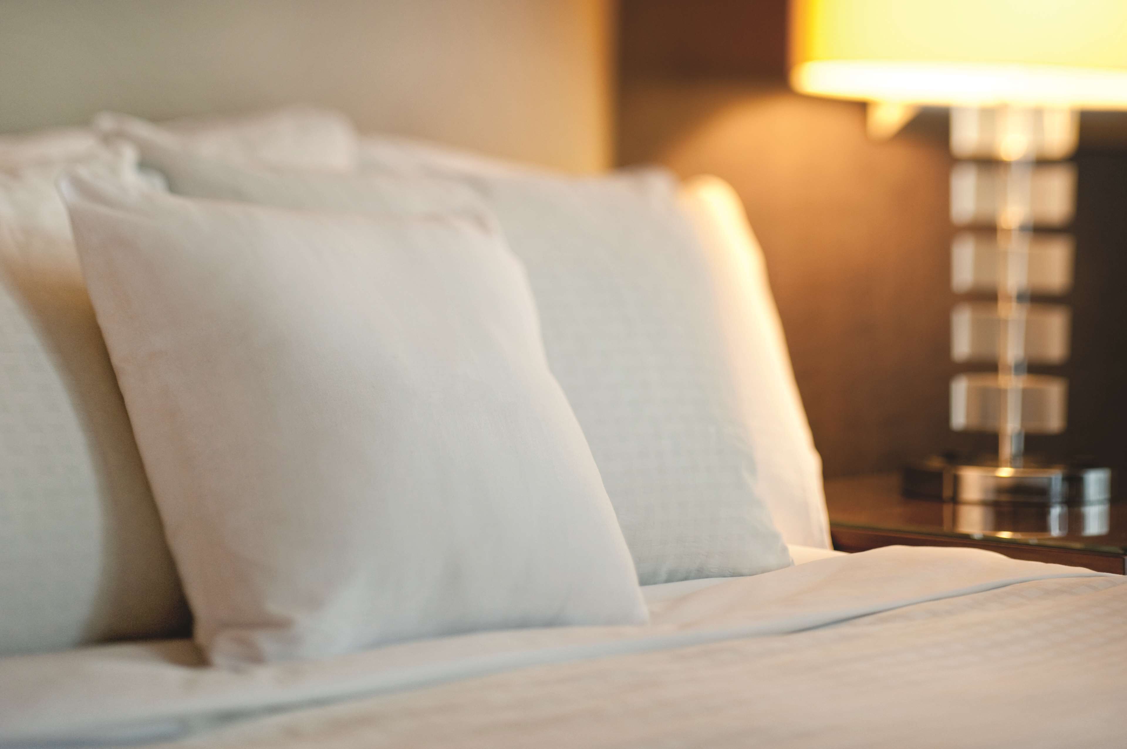 A neatly made bed with white linens and pillows, a bedside table with a lamp, and a wall-mounted light fixture.