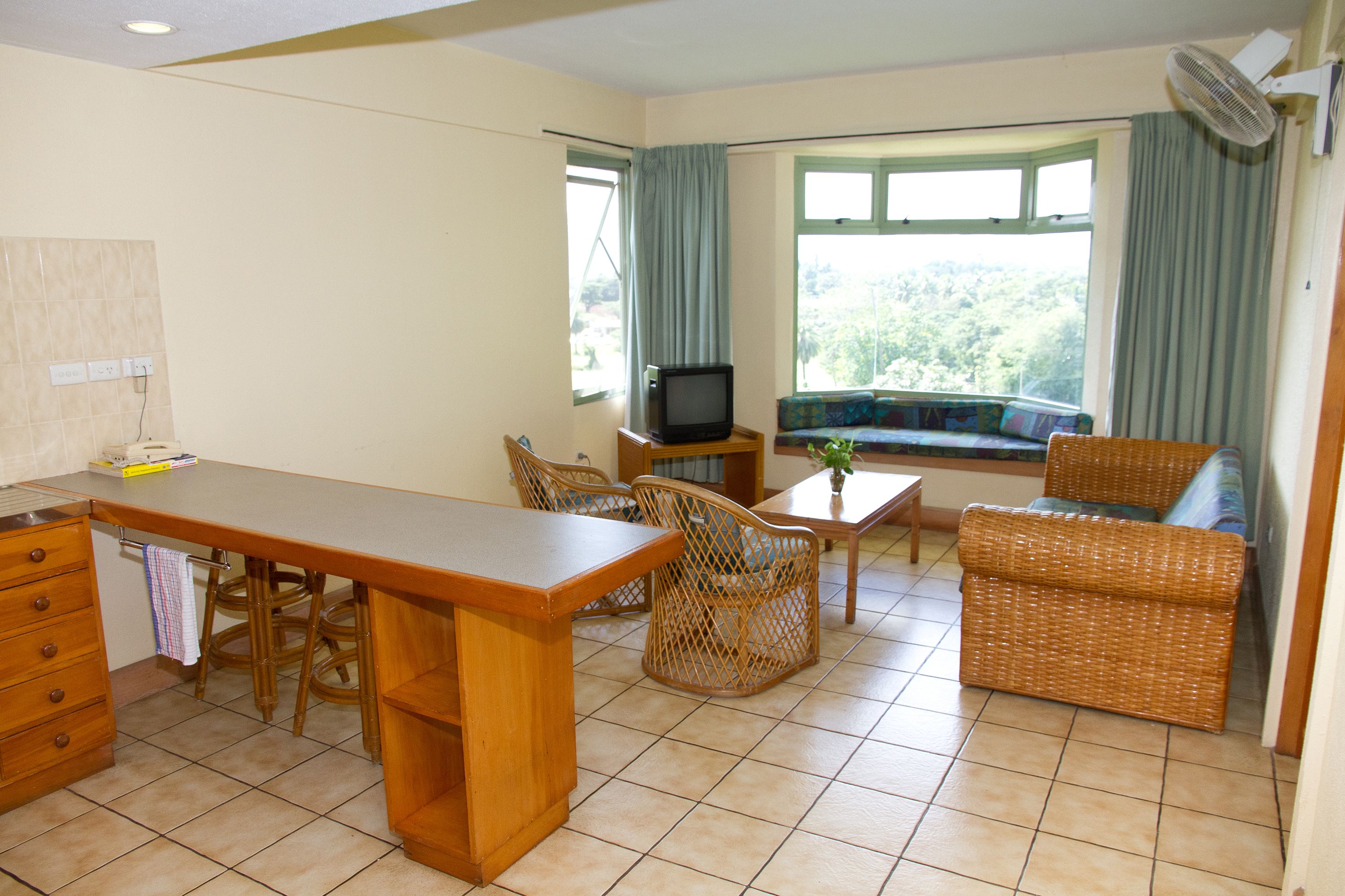One Bedroom Apartment | View from room