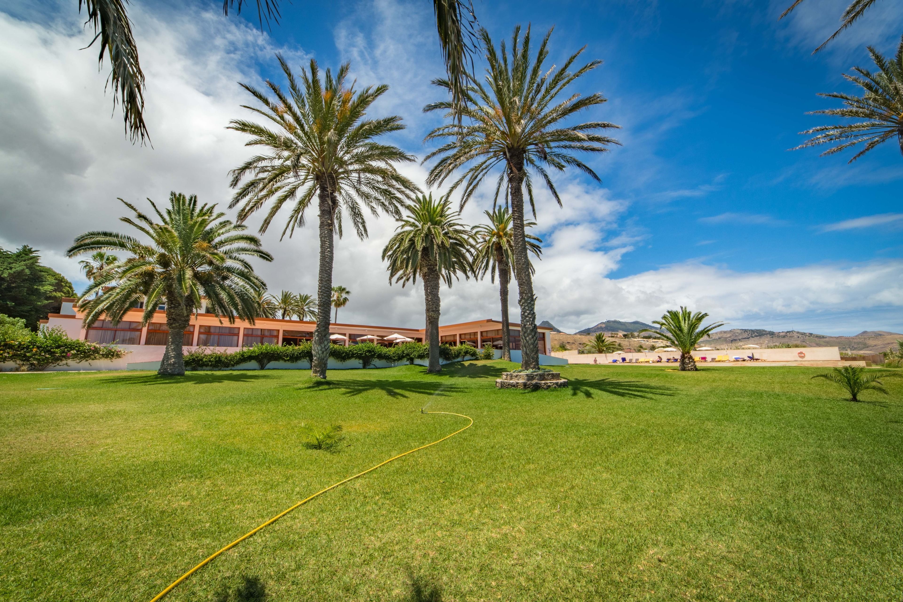 A grassy area with palm trees and a building with a red roof.