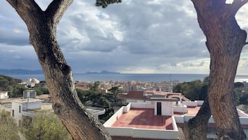 A residential area with a view of the sea and mountains in the background.