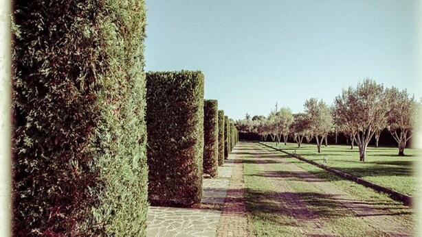 Property grounds - All Ways Garden Hotel & Leisure (Rome)
