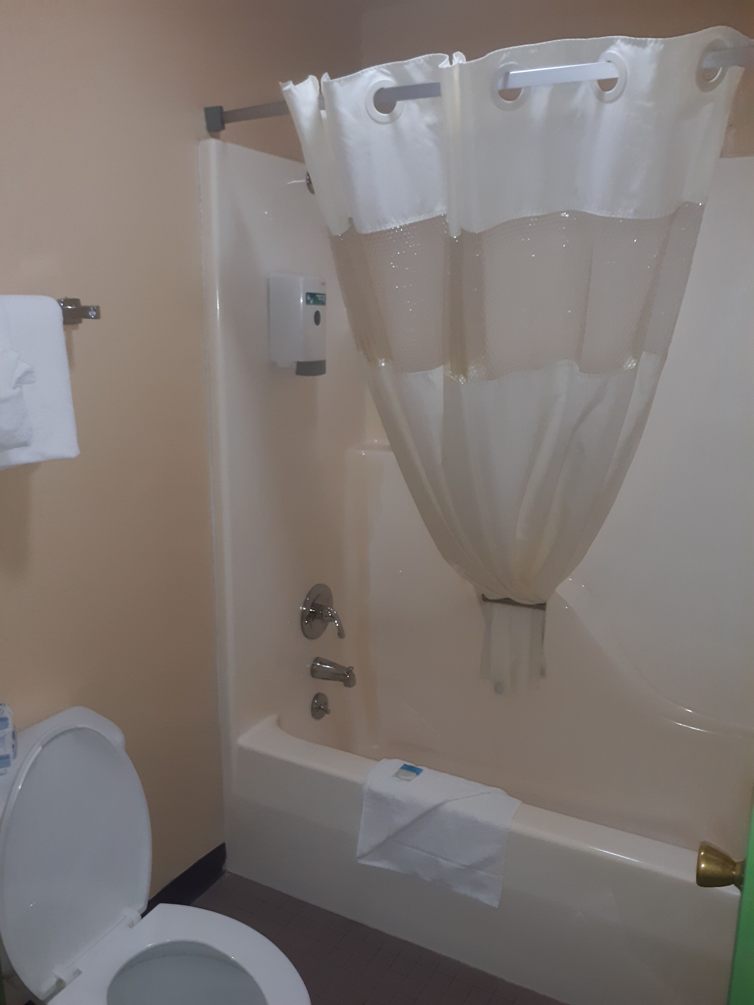 free toiletries, hair dryer, towels