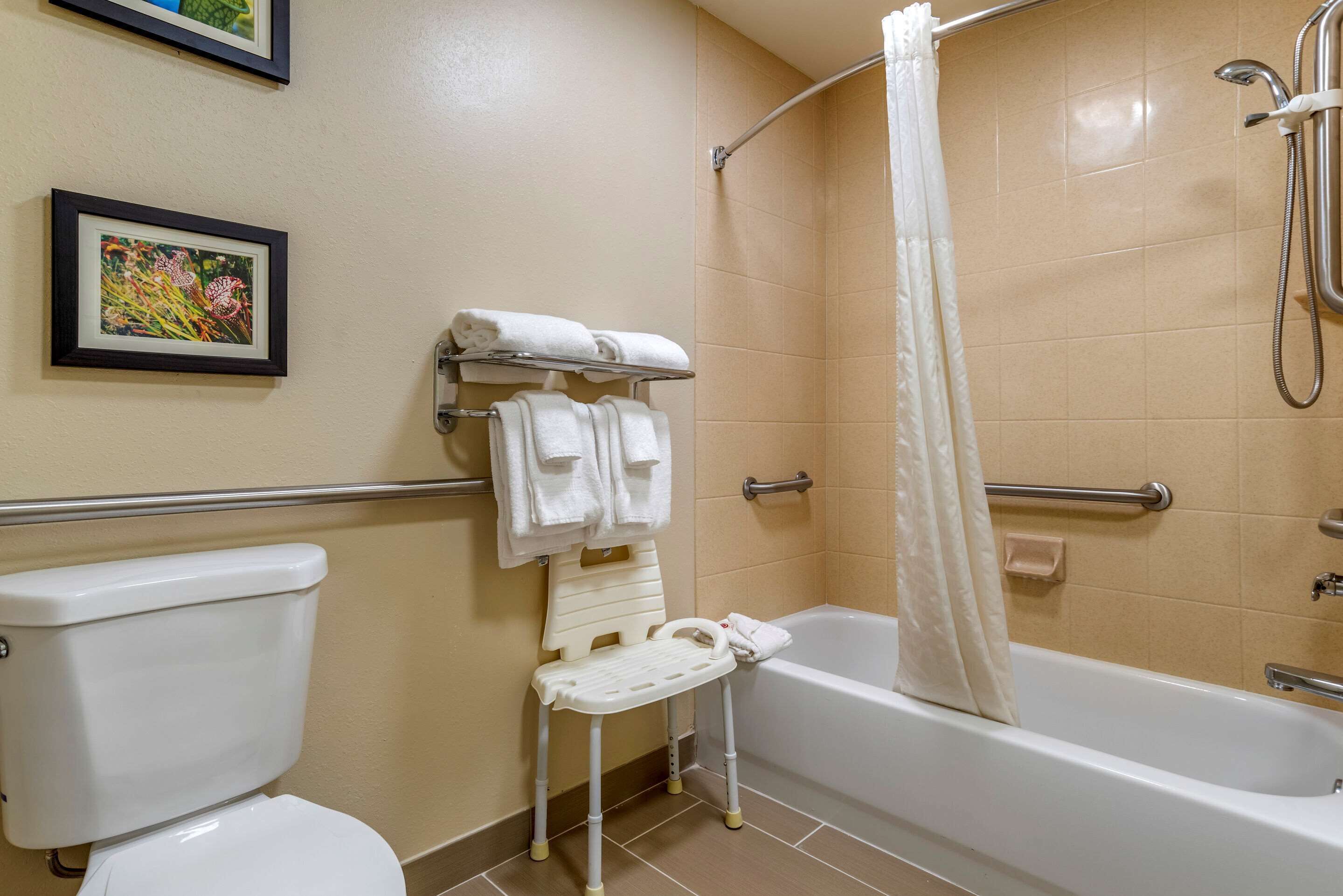 suite, multiple beds, accessible, non smoking | bathroom | bathtub, free toiletries, hair dryer, towels