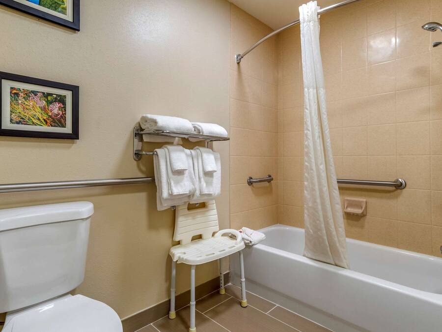 Un bagno con un water, una doccia con tenda, una piccola sedia bianca e un portasciugamani con asciugamani.