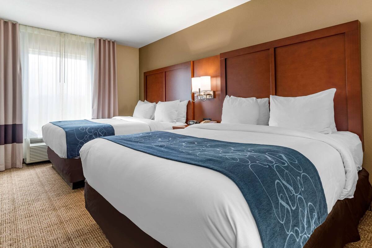 Habitación de hotel con dos camas, un cabecero de madera grande, una mesita de noche con lámpara y una ventana con cortinas translúcidas.