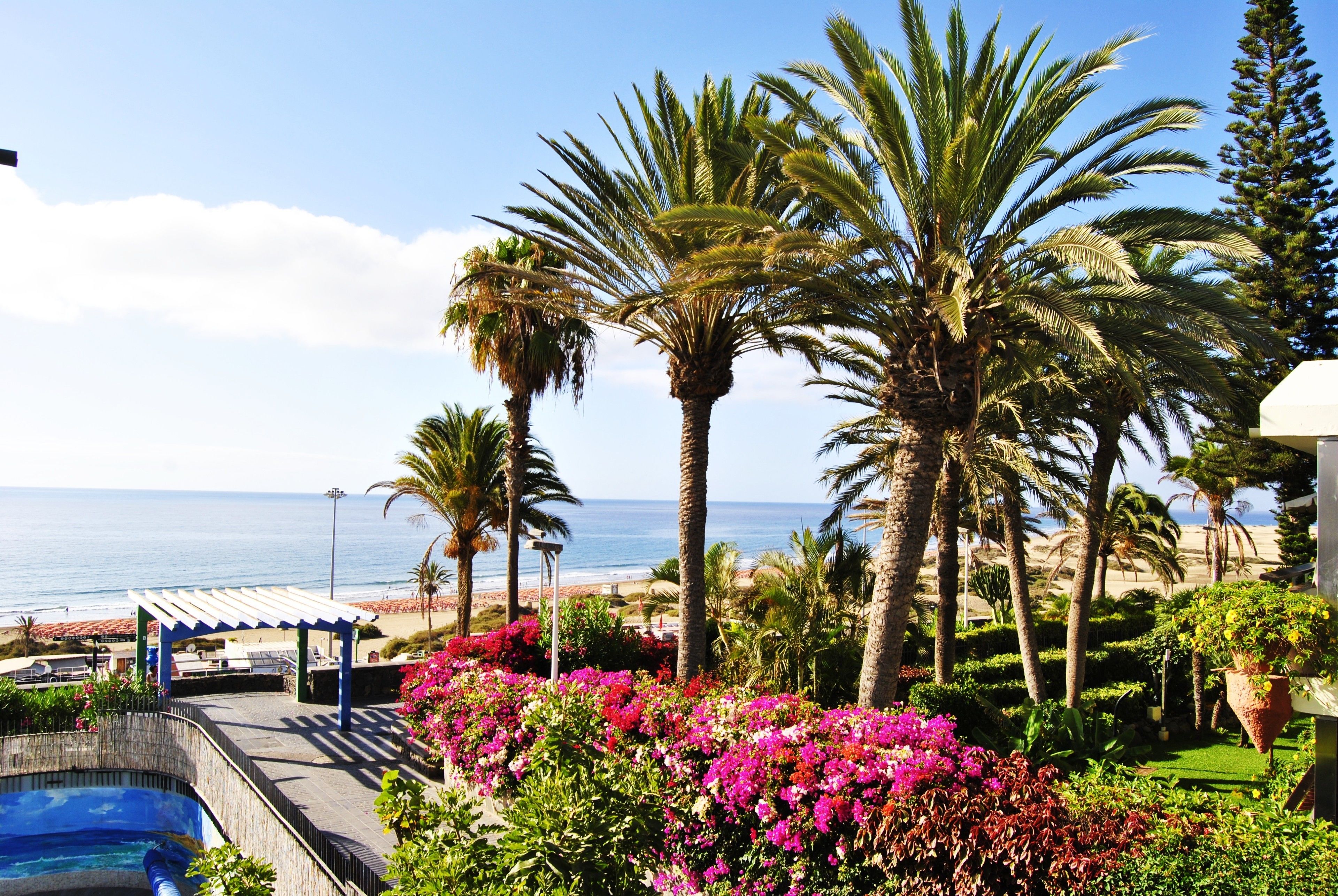 Apartamento superior, 1 habitación (Vistas al océano) | 1 dormitorio, edredones de plumas, colchones viscoelásticos