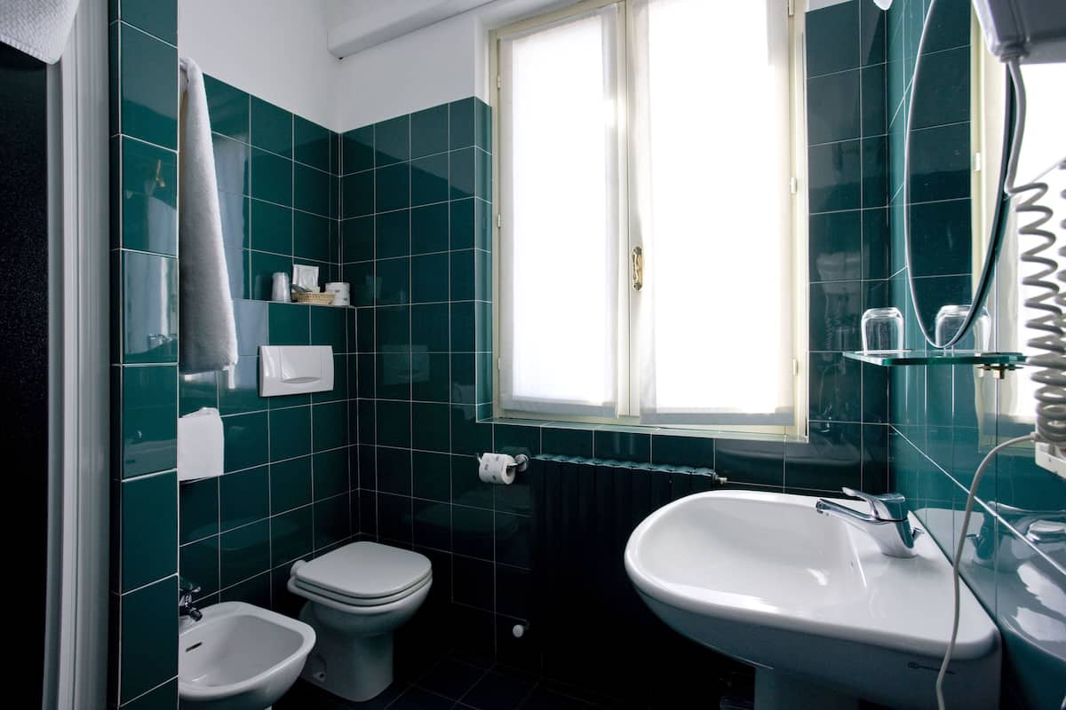 free toiletries, hair dryer, bidet, towels