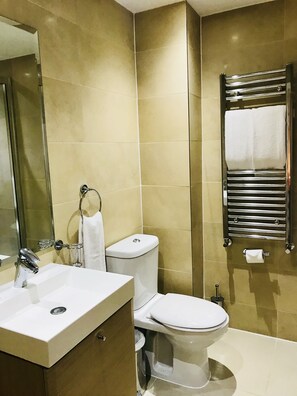 Shower, hair dryer, towels