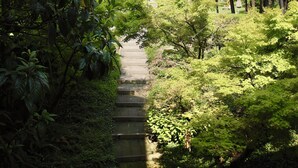 未分類圖片，第 2 張 (共 99 張)，按鈕