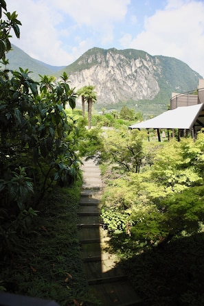 Park view