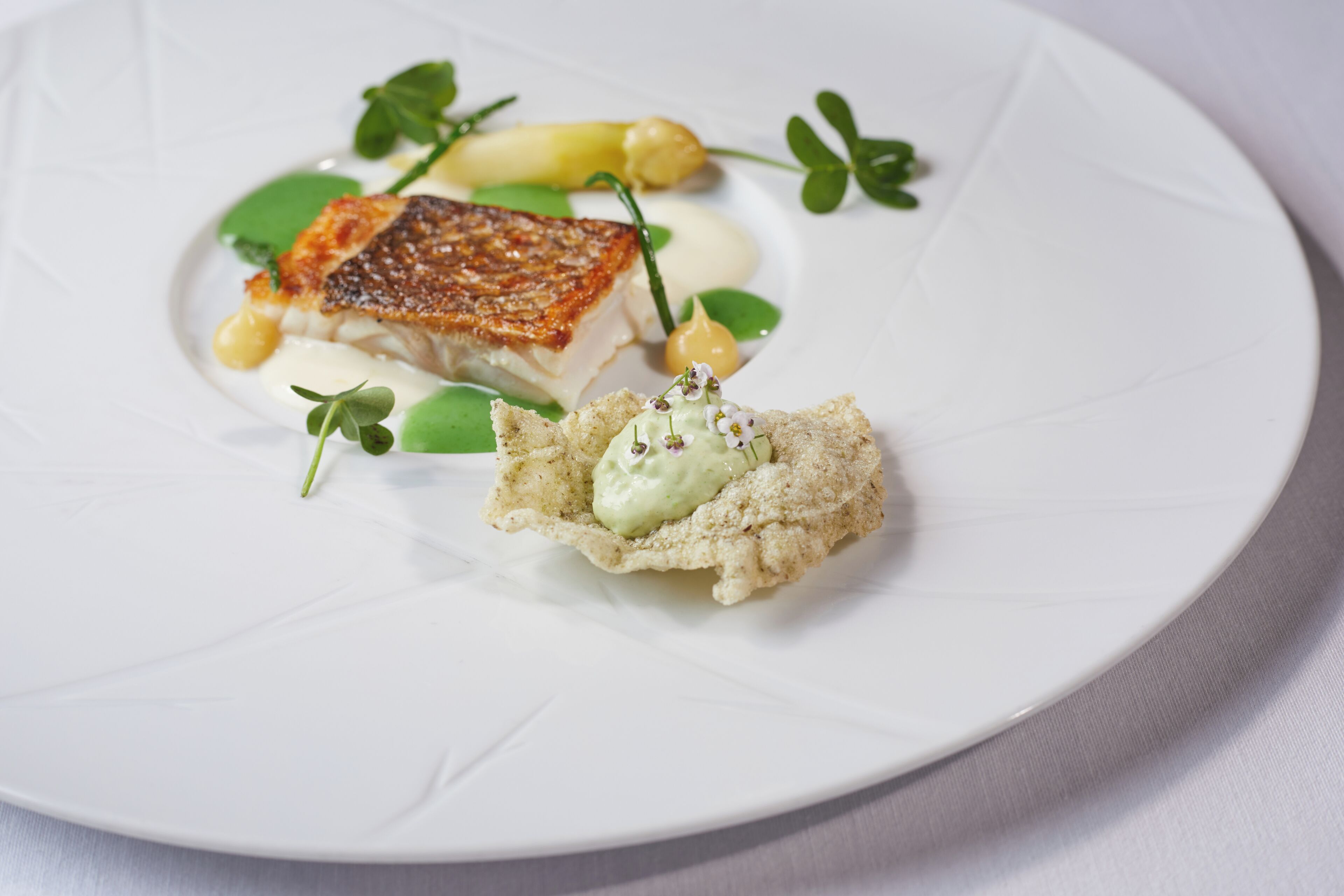 Un plato blanco con un trozo de pescado a la parrilla, una cucharada de salsa verde y un pequeño bocado empanizado.