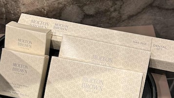 Premium bedding, down comforters, minibar, in-room safe