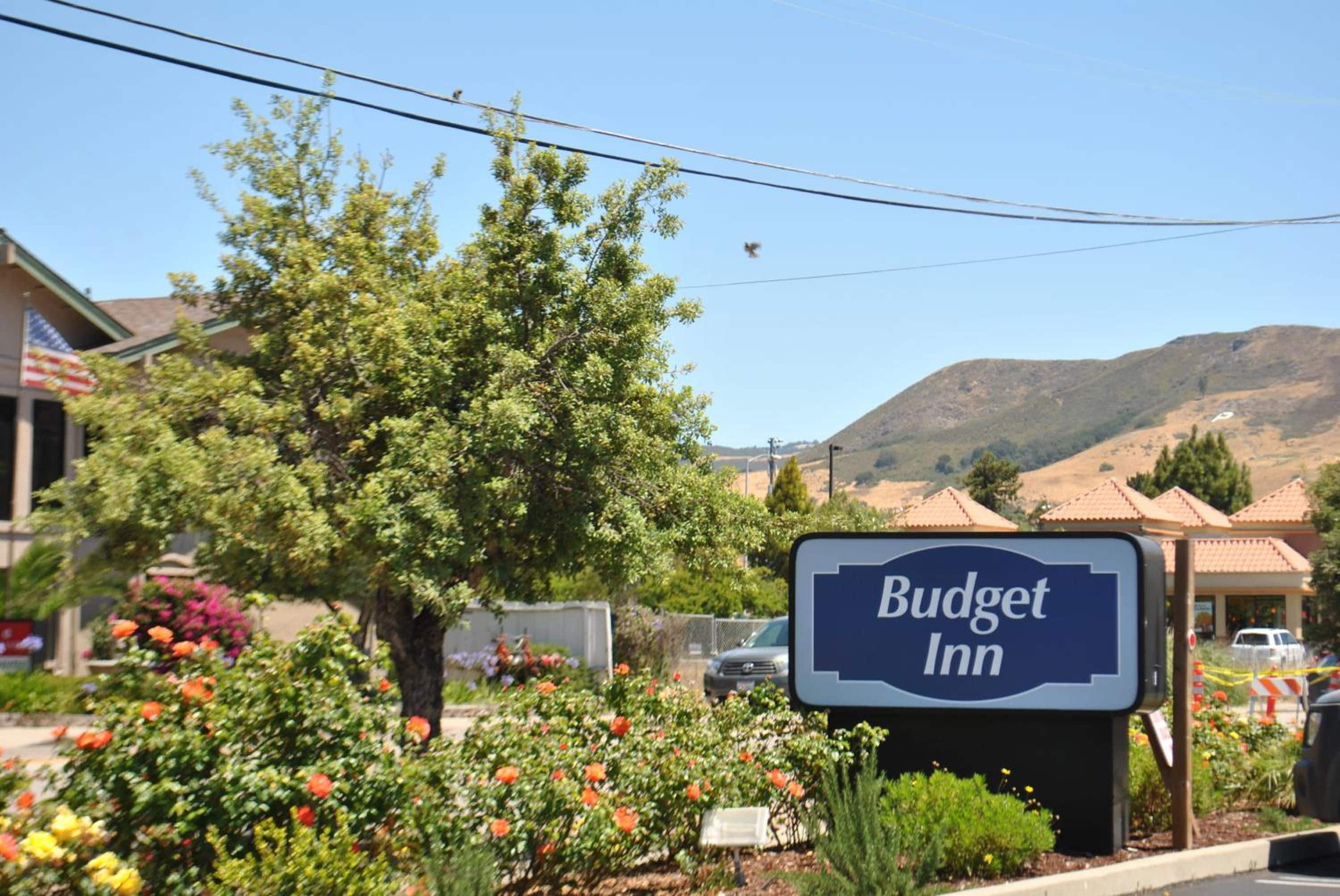 A sign for Budget Inn with a clear view of the surrounding area including a tree, flowers, and a hilly landscape in the background.