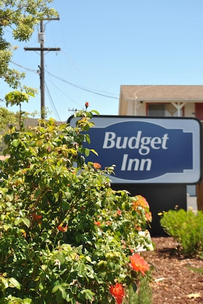 A sign for Budget Inn with a clear view of the surrounding greenery and a utility pole. - Budget Inn (San Luis Obispo)