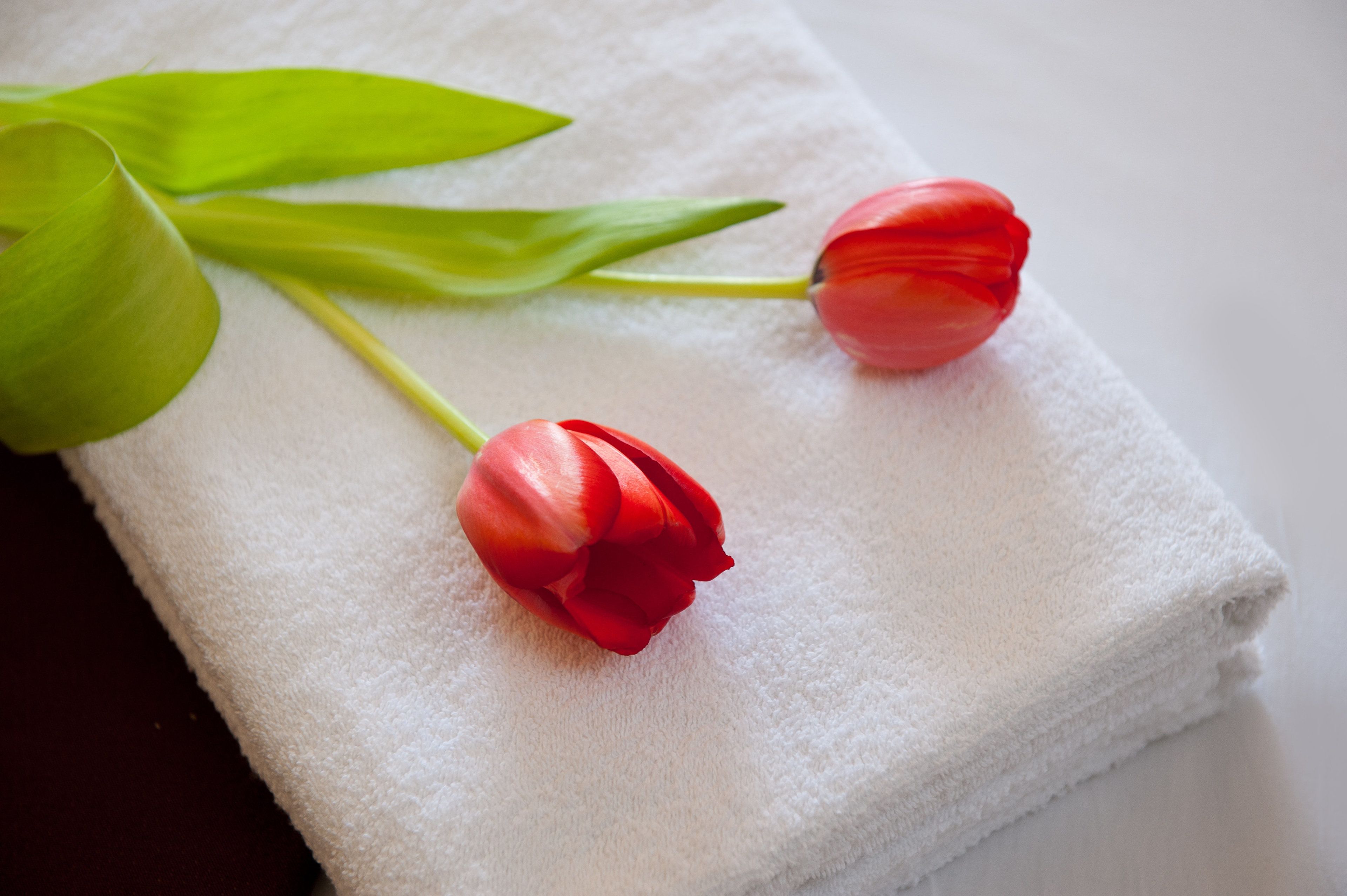 Foto - Leonardo Royal Resort Eilat