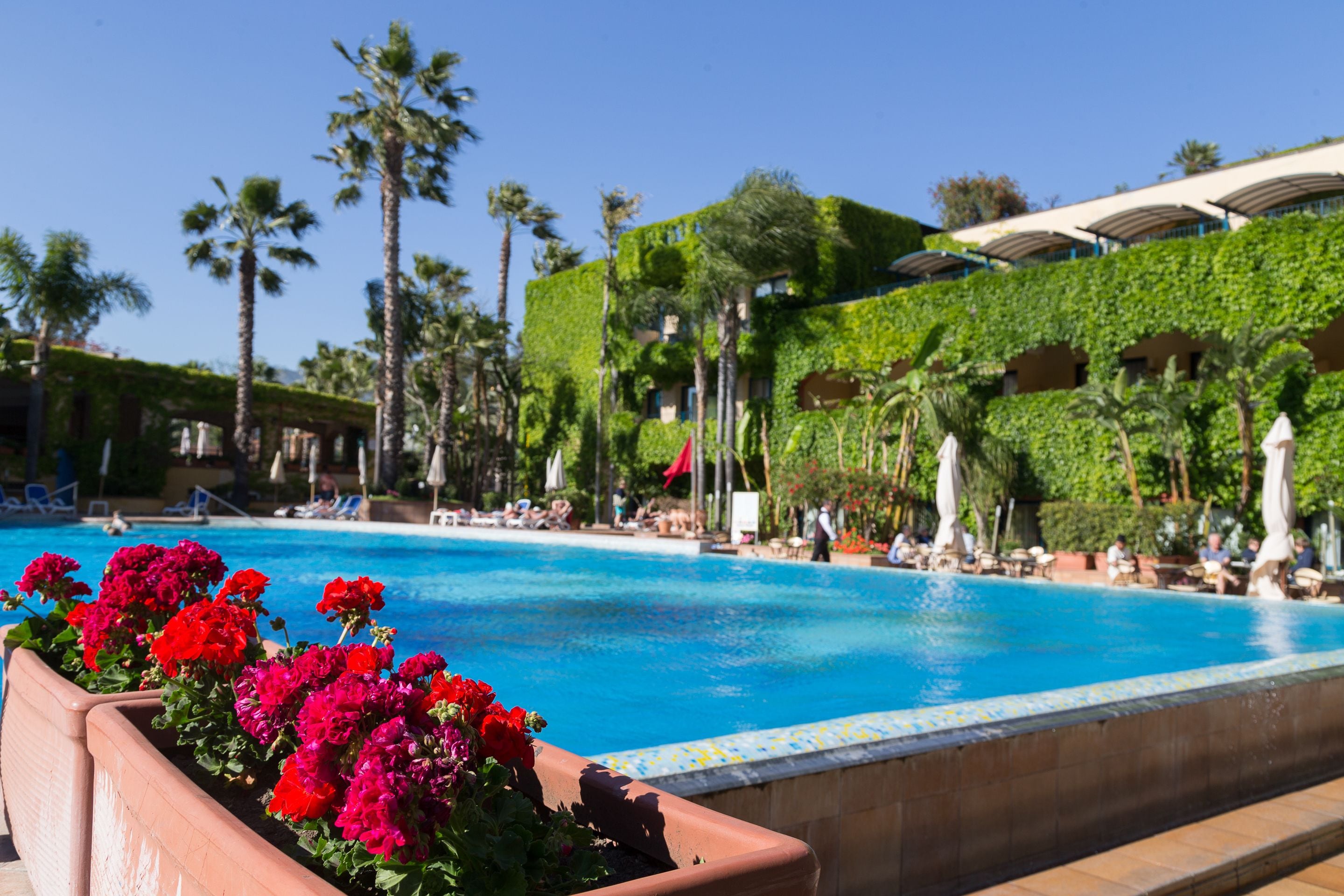 Un espace piscine avec une eau d’un bleu limpide, entouré de palmiers et bordé d’un bâtiment aux feuillages verdoyants.