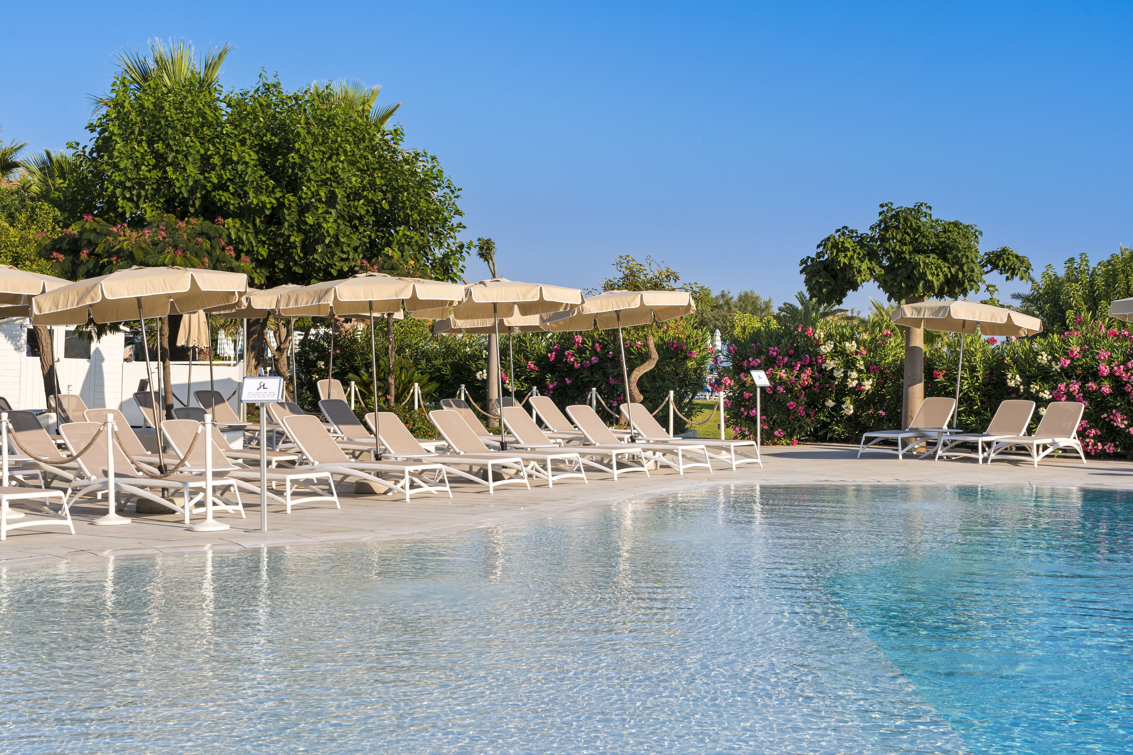 Et poolområde med liggestole og parasoller, omgivet af frodigt grønt og blomstrende planter.