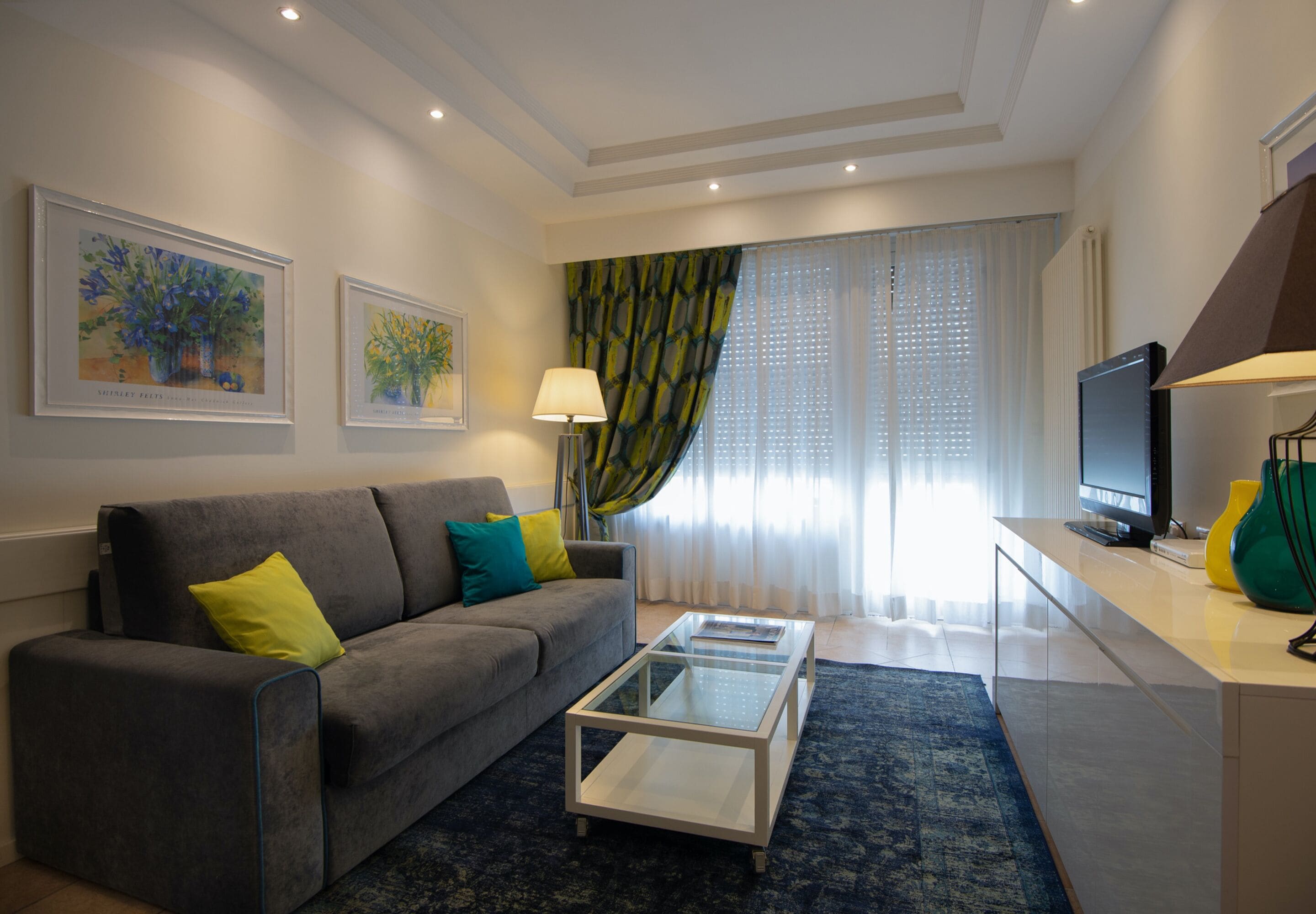 comfort apartment | living area | plasma tv