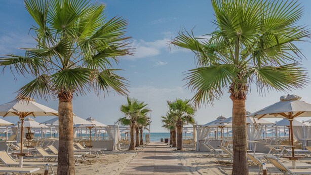 Un camino bordeado de palmeras y sombrillas de playa, que conduce a sillas de playa y vistas al mar.